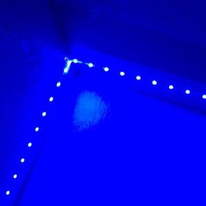 Meet your Posher, Julissa